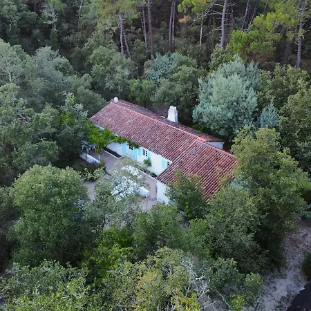 L'ecrin De La Pinede לה בר-דה-מון