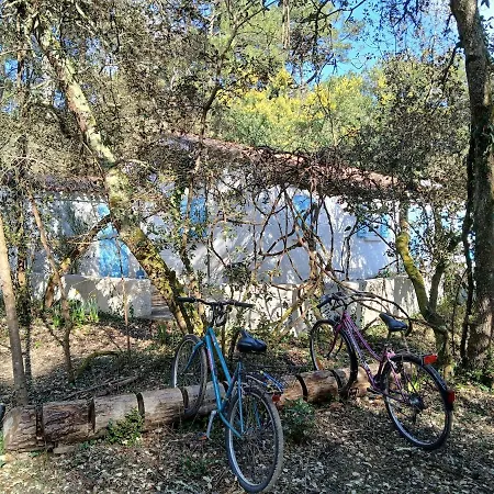 L'ecrin De La Pinede וילה