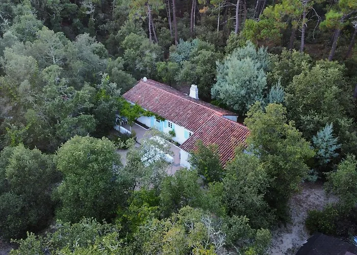 L'ecrin De La Pinede لا باريه دي مونت