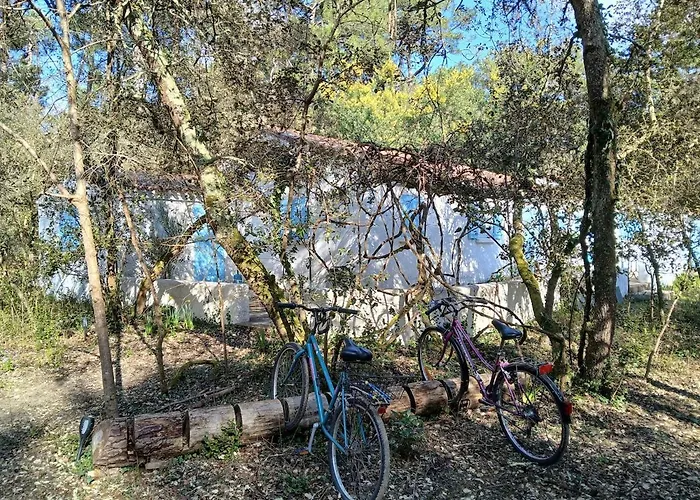 L'ecrin De La Pinede فيلة