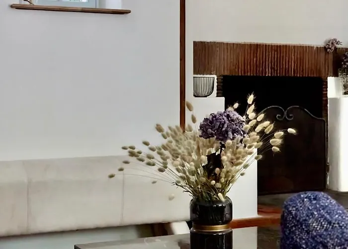 L'ecrin De La Pinede Willa *